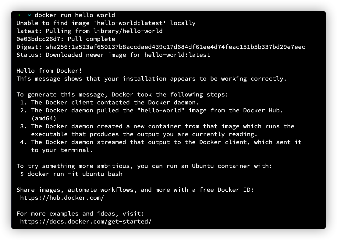 image-20201224175629771